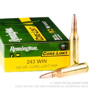 Remington Core-Lokt 243 Winchester 100 Grain PSP Ammunition 20 Rounds